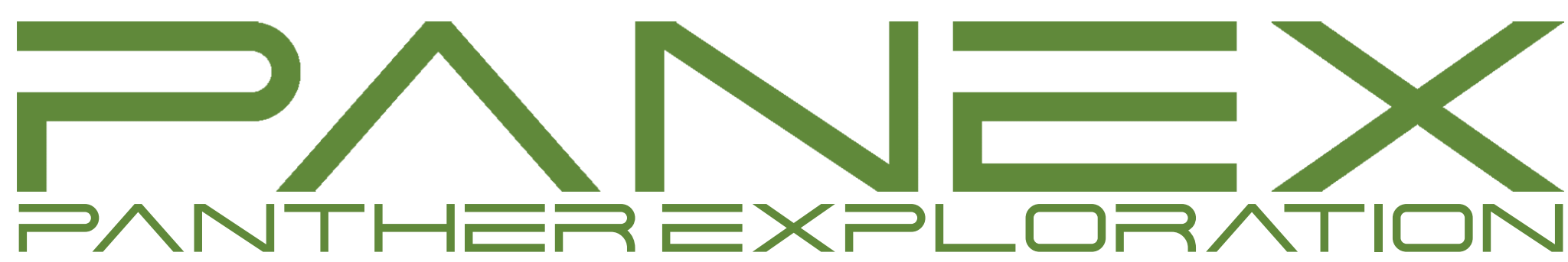 Panex, LLC Logo